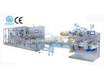 Máquina para fabricar lenços umedecidos de 5-30 unidades CD-2008II (totalmente automática)